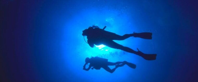 paracas-diving-dive-into-the-sea