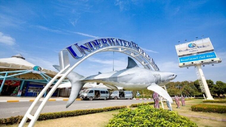 pattaya-underwater-world-pattaya-aquarium-admission-ticket
