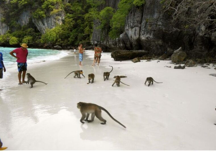 phi-phi-islands-half-day-private-speed-boat-charter
