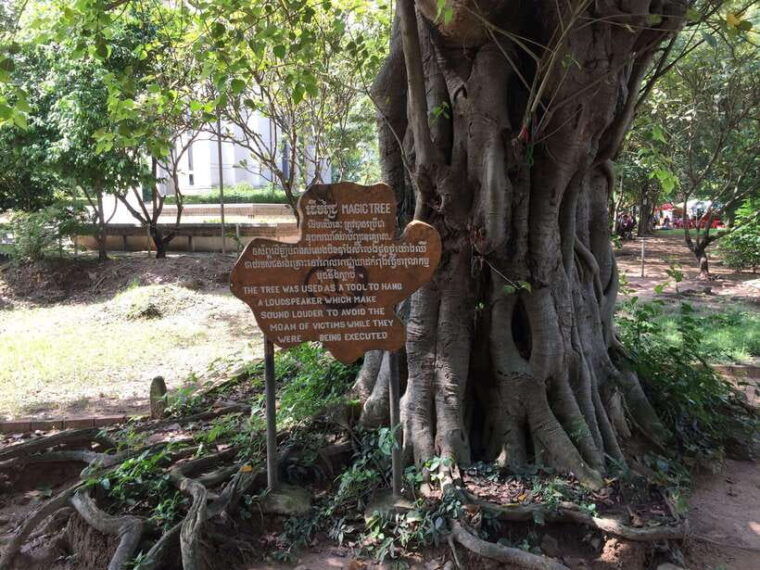 phnom-penh-2-day-guided-tour-with-royal-palace-market