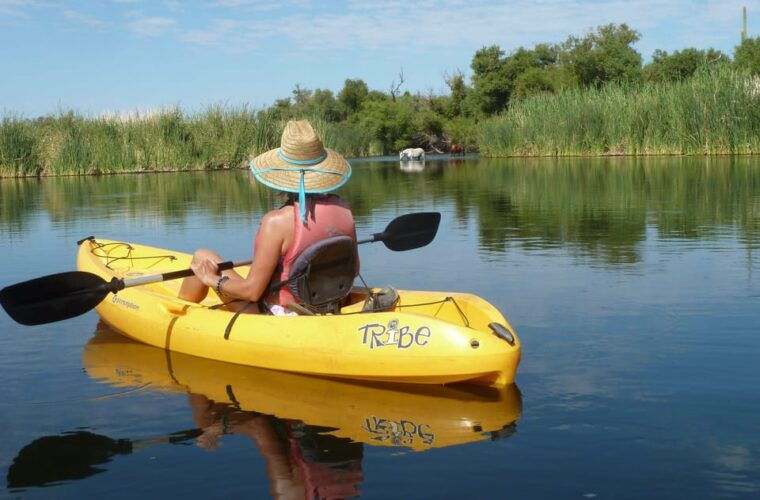 phoenix-self-guided-kayaking-trip-to-foxtail