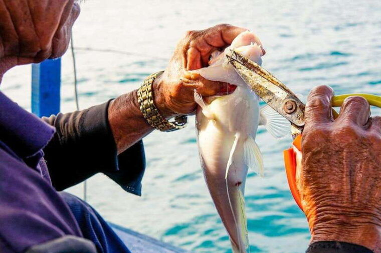 phu-quoc-full-day-island-snorkeling-adventure