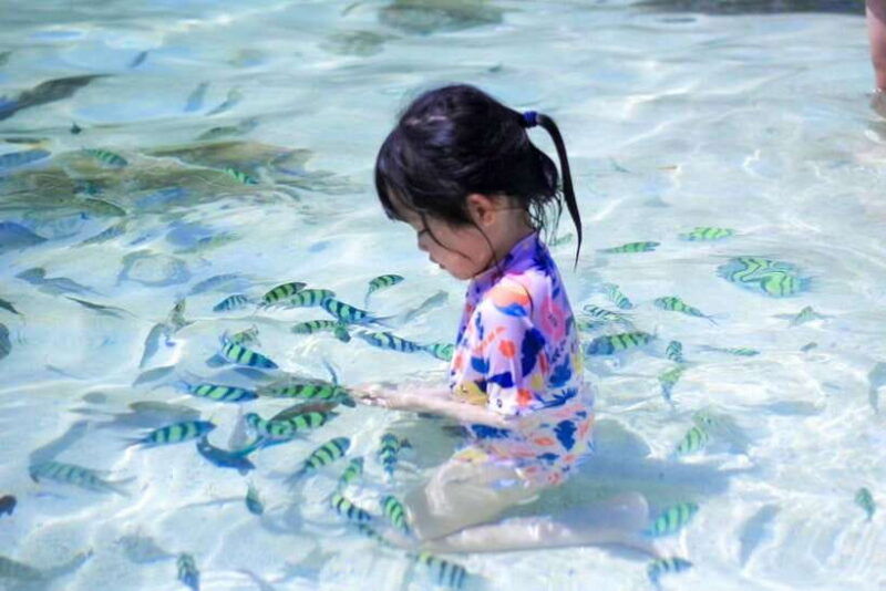 Phuket: 3 Khai Islands Snorkeling and Relaxation Tour - Safety and Suitability