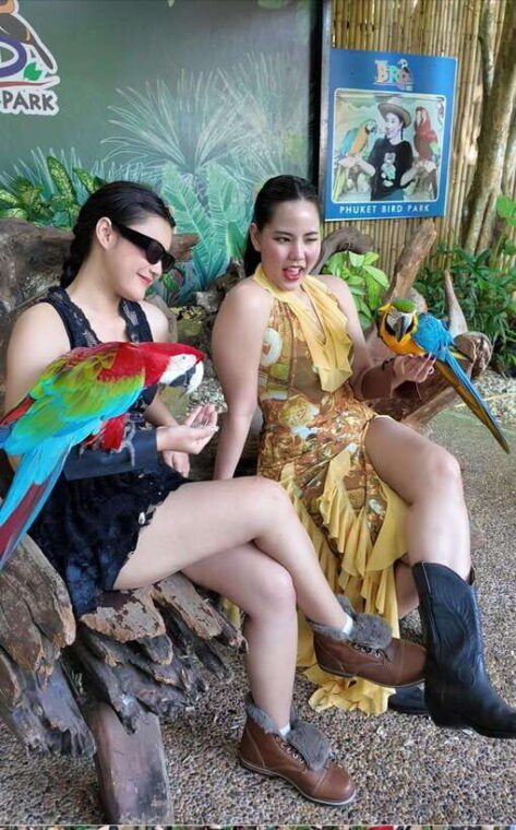 phuket-bird-park-entry-ticket