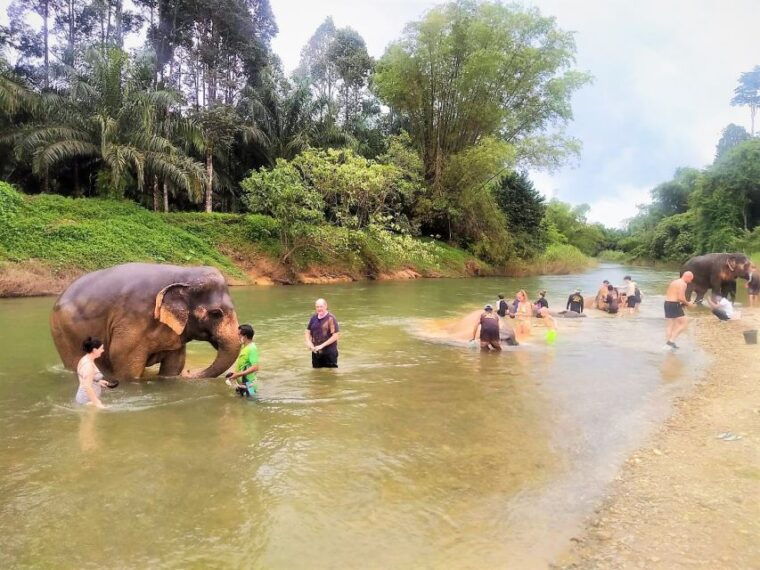 phuket-cheow-lan-lake-overnight-with-elephant-day-care