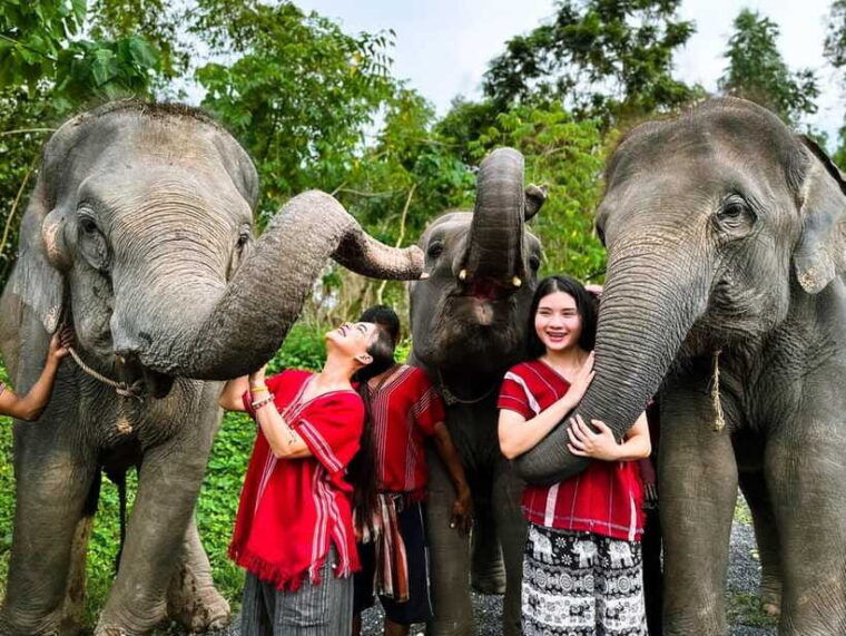 phuket-experience-feeding-and-bathing-elephants-1-5-hrs