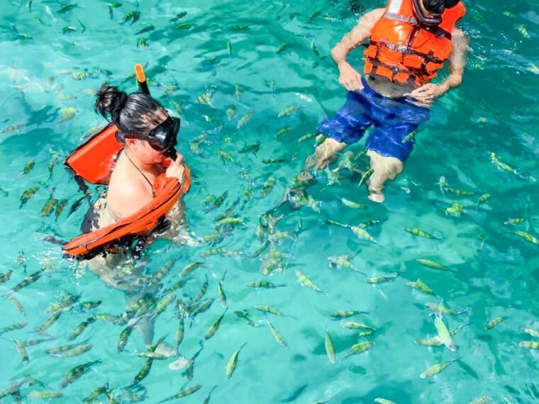 phuket-premium-day-trip-to-phi-phi-maya-bamboo-island