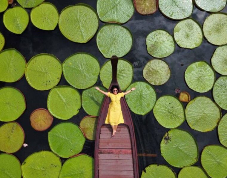 phuket-private-all-inclusive-giant-water-lilies-tour