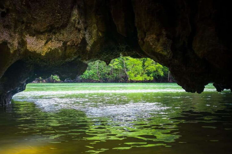 phuket-sea-canoe-glowing-plankton-by-speed-catamaran-tour