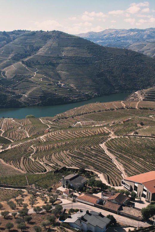 pinhao-quinta-da-formigosa-vineyard-tour-and-wine-tasting