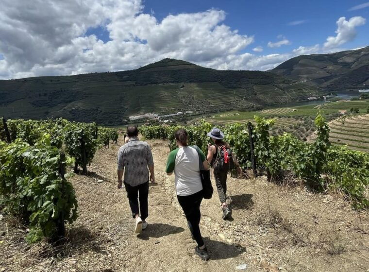 porto-douro-valley-hike-amarante-visit