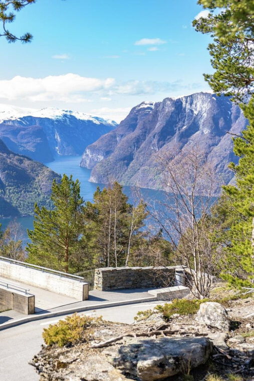 private-day-tour-flam-railway-fjord-cruise-from-bergen