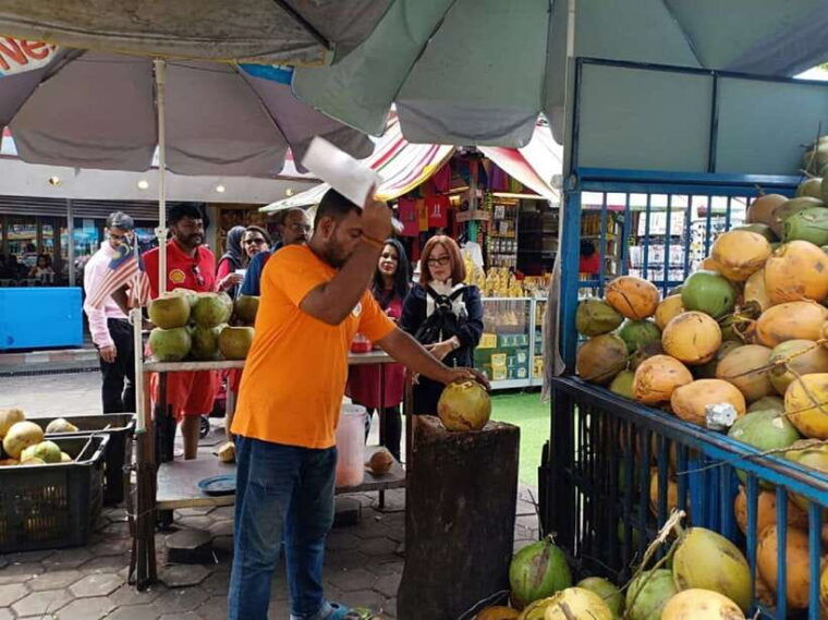 private-kl-city-tour-with-petronas-twin-towers-batu-caves