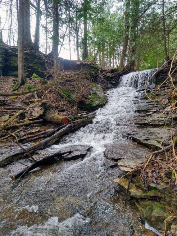 private-metcalfe-duncan-caves-hike-collingwood-blue-mountain