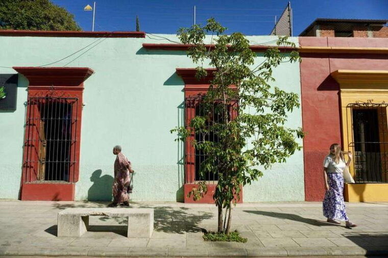 private-oaxaca-street-food-historic-city-tour-best-rated