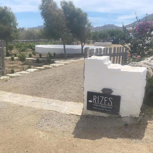 private-tour-customize-your-perfect-day-in-mykonos