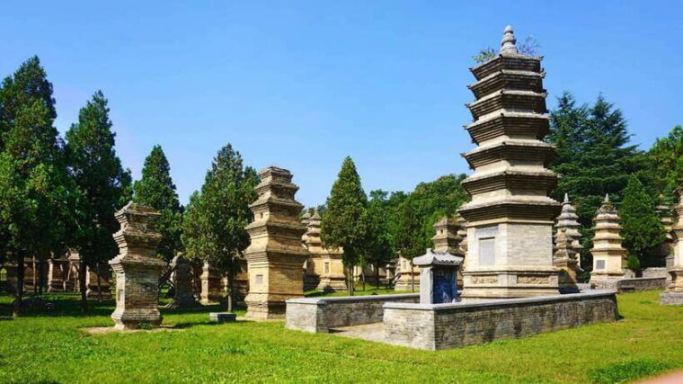 private-tour-longmen-grottoes-shaolin-temple-kungfu-show