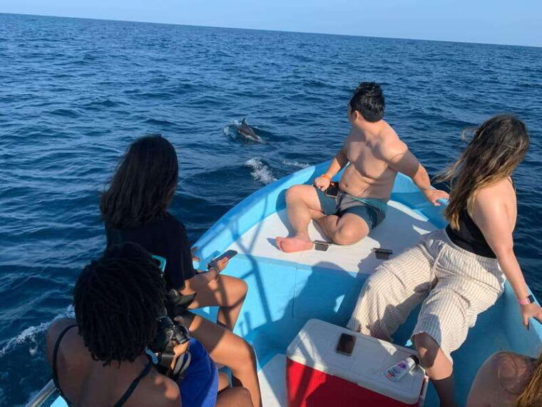 puerto-escondido-boat-tour-to-see-dolphins-and-marine-life