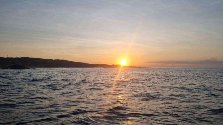 puerto-escondido-the-best-dolphin-watching-adventure