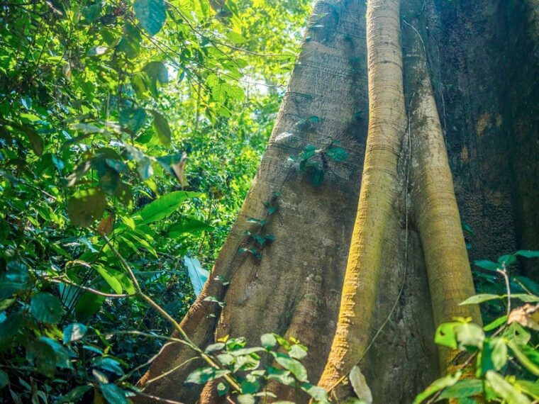 puerto-maldonado-4-day-amazon-rainforest-adventure