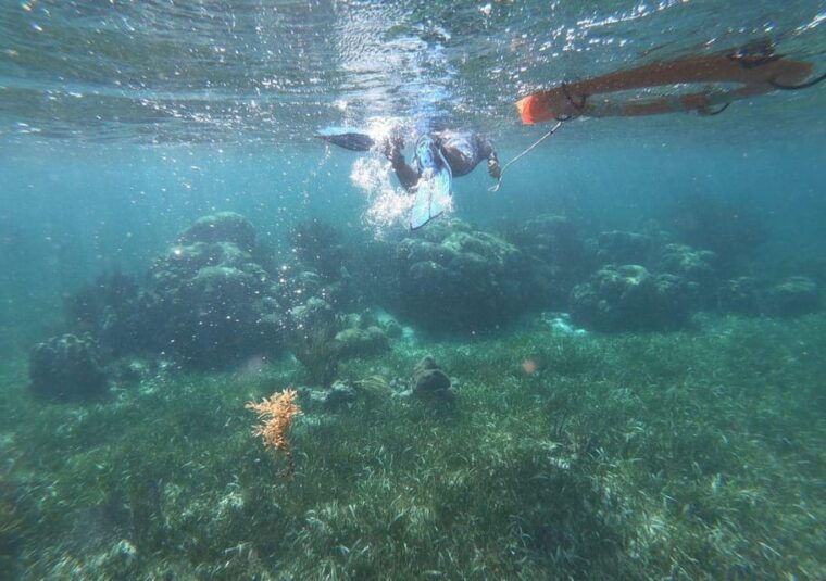 puerto-morelos-reef-snorkeling-adventure-with-transport