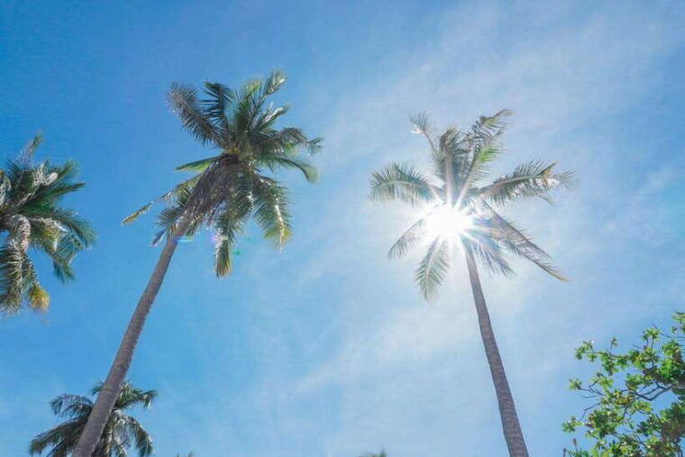 puerto-princesa-cowrie-island-guided-day-tour-with-meal