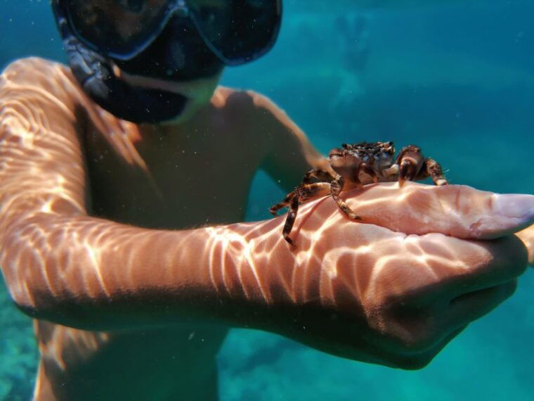 pula-sea-adventure-boat-kayak-snorkeling-cliff-jumps