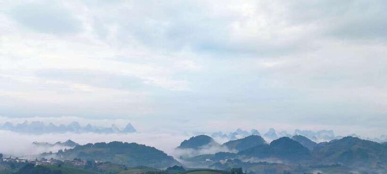 qixianfeng-tea-plantation-tour-in-yangshuo