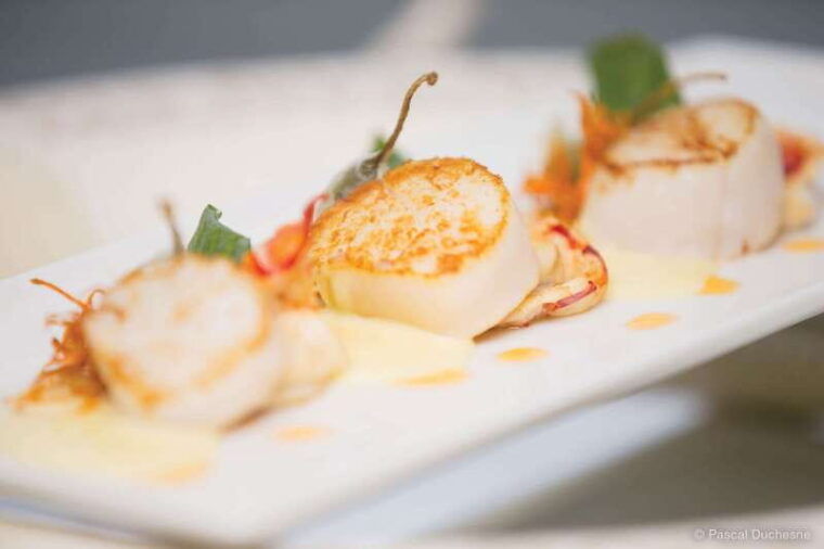 quebec-city-3-or-5-course-dinner-cruise-with-dj-dancing