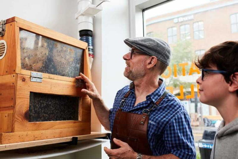 quebec-city-honey-and-distillery-tour-with-tasting