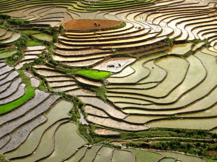 red-dao-village-trek-and-herbal-bath