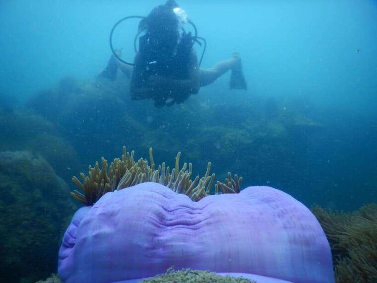 red-river-tours-luxury-professional-scuba-diving