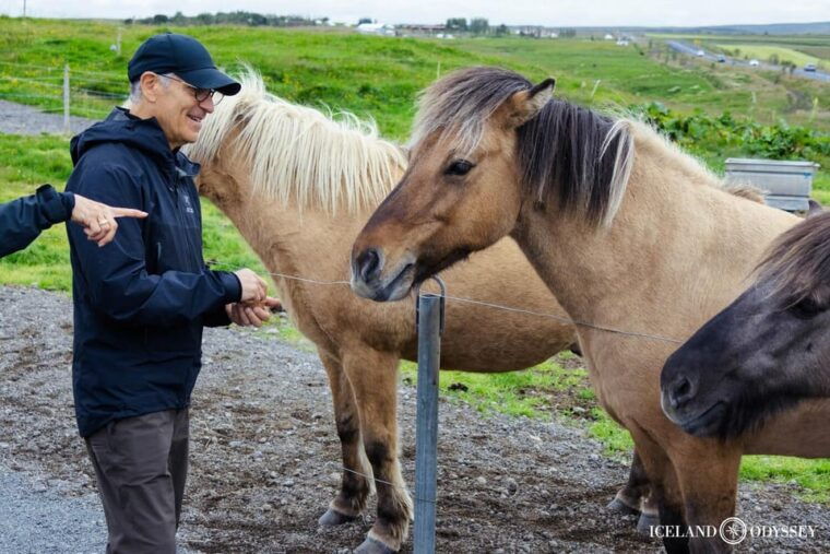 reykjavik-private-golden-circle-secret-lagoon-tour