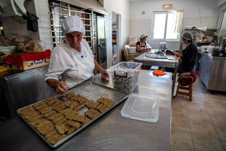 rhodes-cooking-lesson-and-wine-tasting-with-lunch