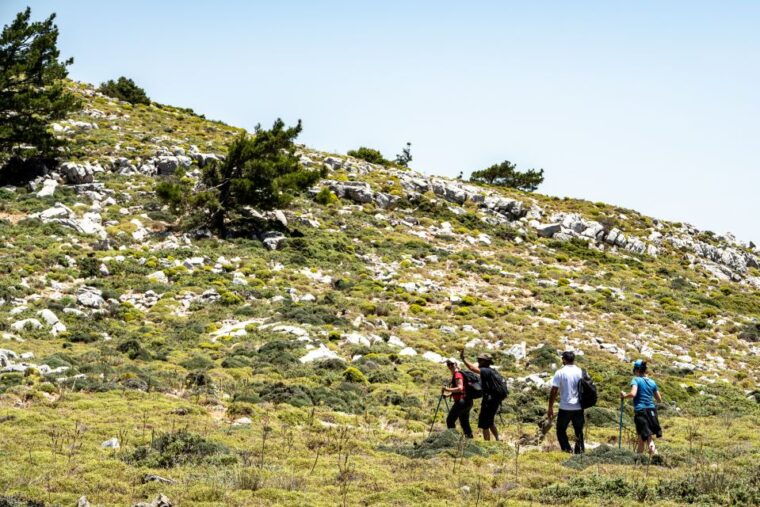 rhodes-hiking-tour-to-the-summit-of-akramitis-with-photos