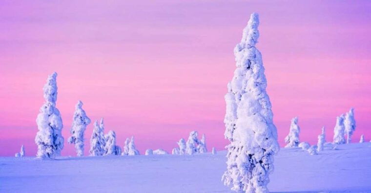 rovaniemi-half-day-snowmobile-ice-fishing-experience