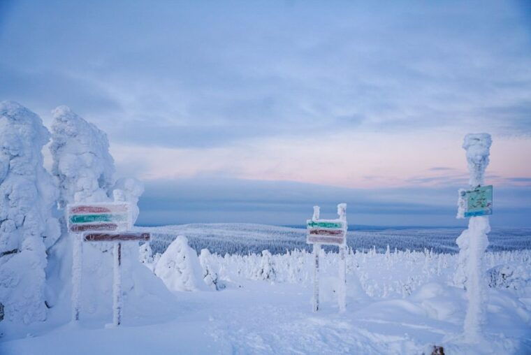 rovaniemi-riisitunturi-national-park-day-trip-with-lunch