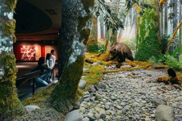 royal-b-c-museum-in-victoria-full-day-admission-ticket