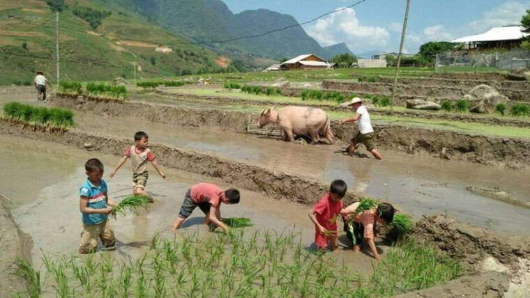 sa-pa-2-day-trekking-tour-with-ethnic-minority-homestay