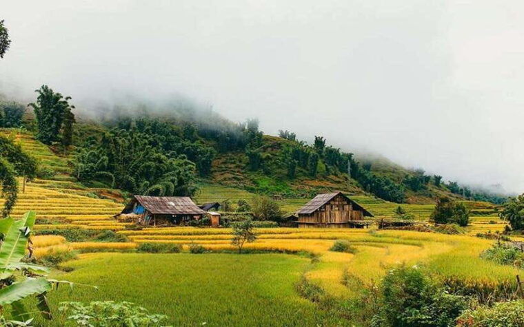 sa-pa-muong-hoa-valley-trek-and-local-ethnic-villages