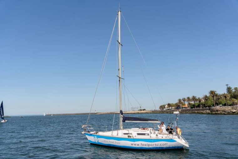sailboat-douro-river-cruise-with-cheese-tonic-porto