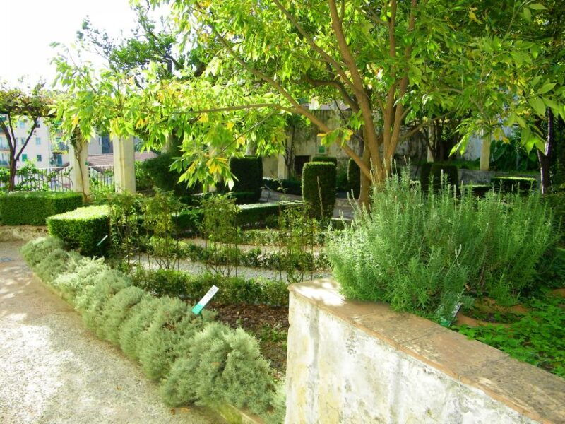 salerno-walking-tour-3