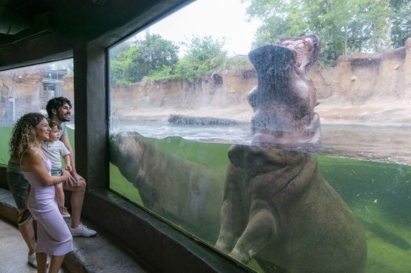 san-antonio-citypass-save-up-to-51-on-4-top-attractions