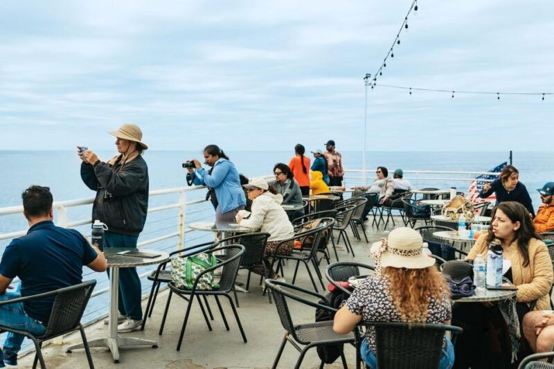 san-diego-whale-and-dolphin-watching-cruise