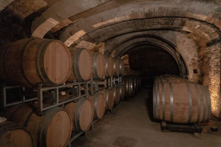 san-gimignano-wine-and-food-tasting-in-a-family-winery