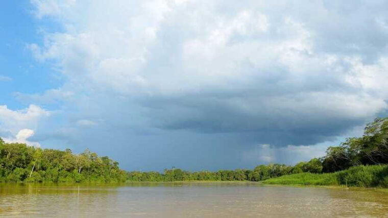 sandakan-3-day-kinabatangan-river-wildlife-adventure