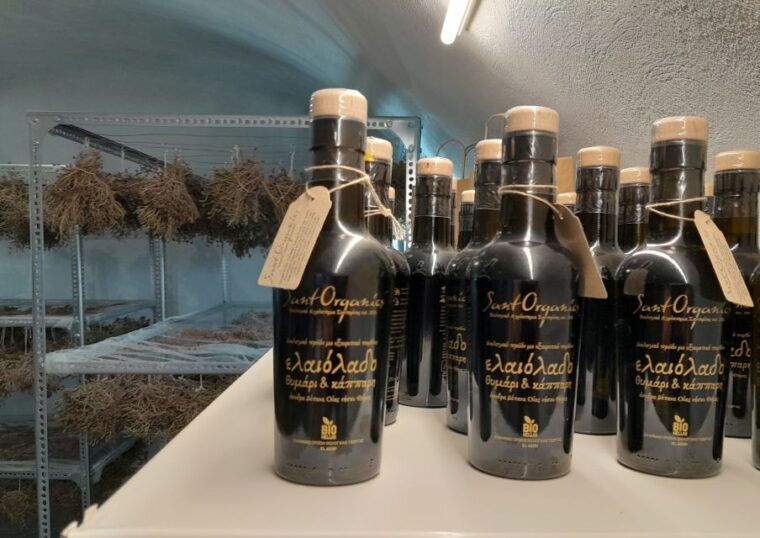 santorini-private-agri-educational-visit-to-an-organic-farm-2