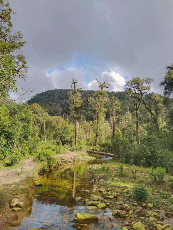 sapa-climb-up-to-fansipan-mountain-with-local-guide