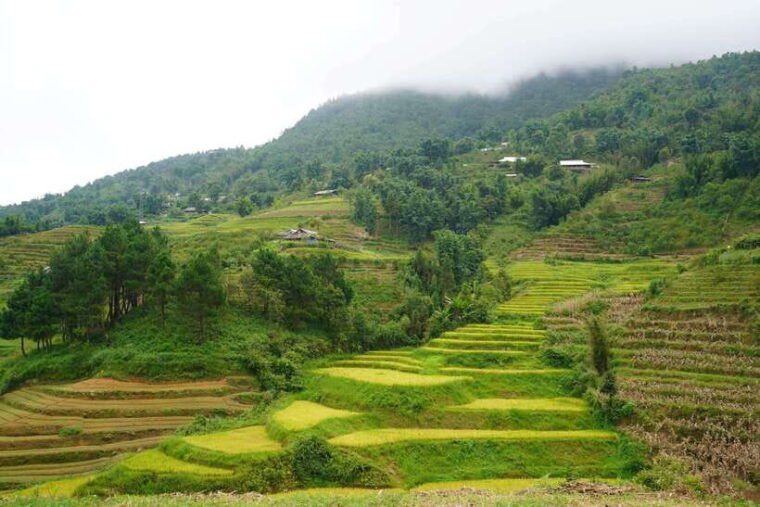 sapa-full-day-hike-to-ta-phin-cat-cat-village-with-lunch