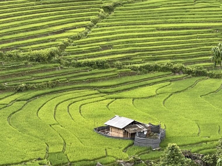 sapa-one-day-motorbike-tour